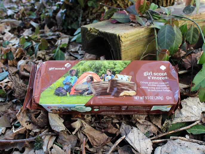 package of Girl Scout S’mores by ABC Bakers