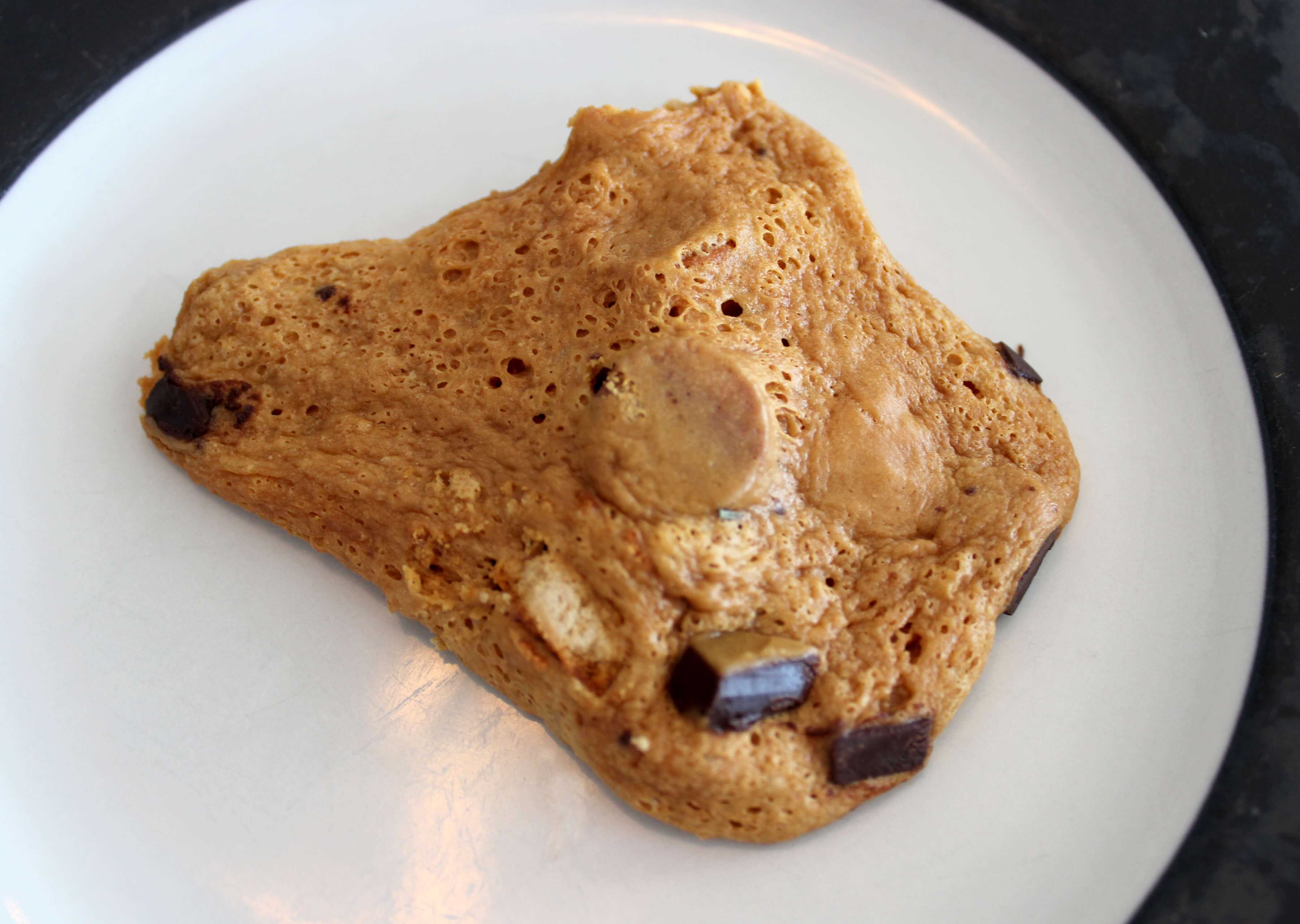 Quest Nutrition S’mores Protein Bars [Review] S’more Scout