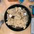 Thumb: giant s’mores stuffed chocolate chip skillet cookie prep