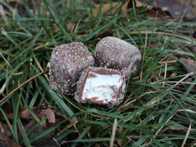 Jet-Puffed S’mores Bites marshmallow on the inside