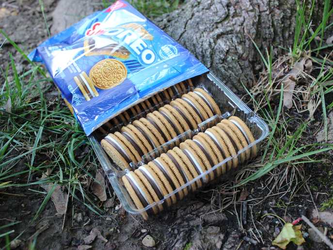S’mOREO package containing 3 rows of cookies