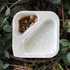 Thumb: Chobani Flip S’more S’mores ingredients