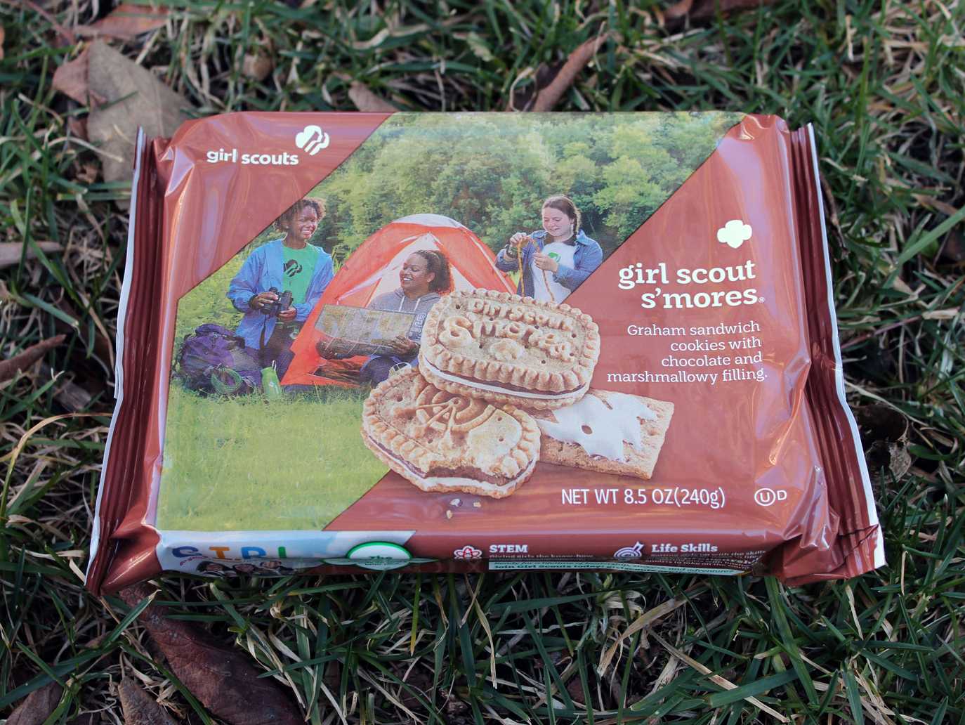 Girl Scout S'mores Cookies—Little Brownie Bakers Edition [Review] | S ...