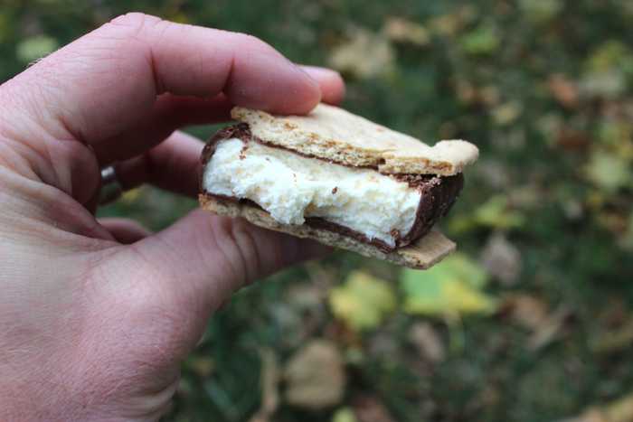 Russel Stover S’mores