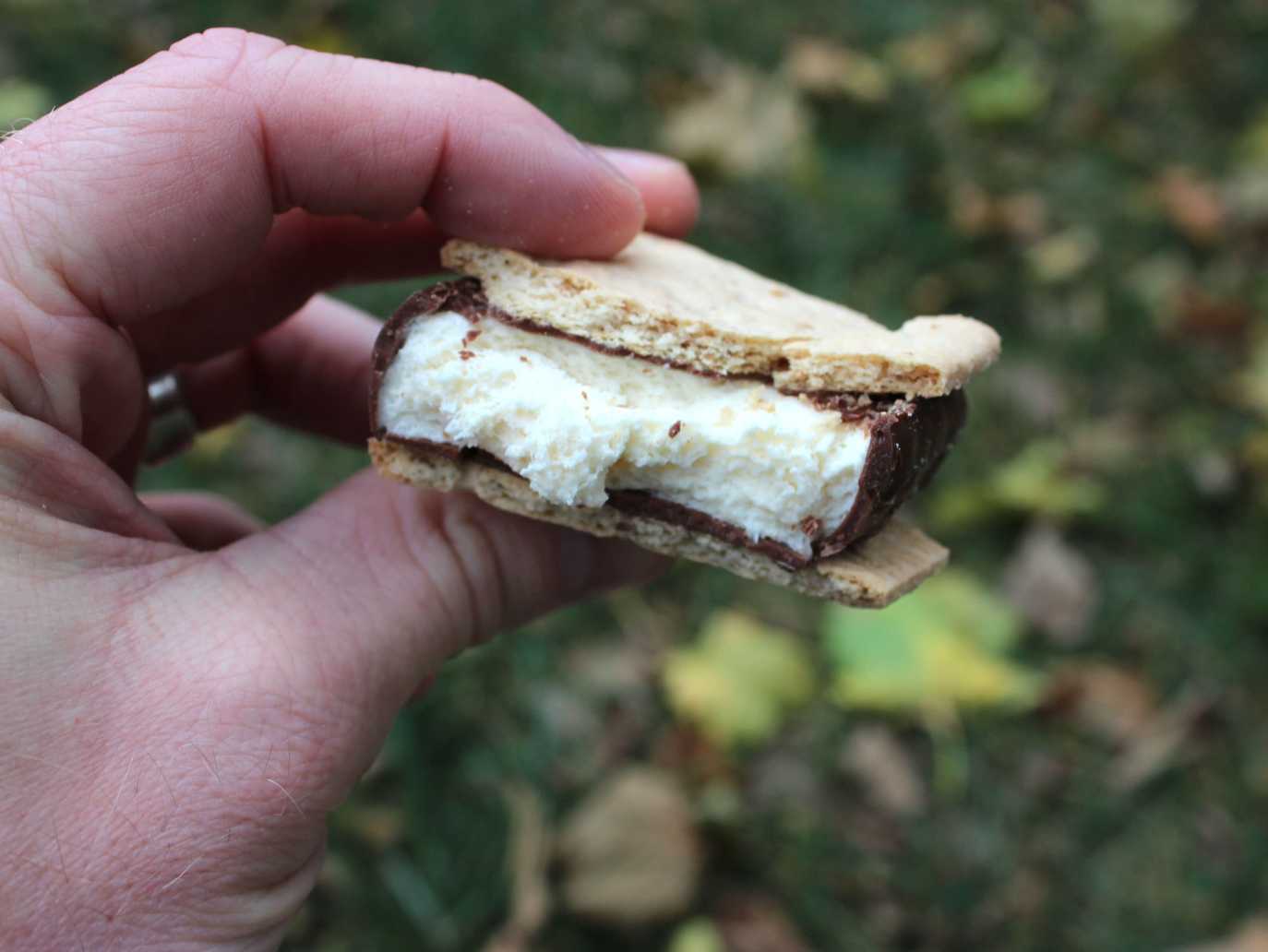 Russell Stover S’mores, Milk Chocolate [Review] S’more Scout