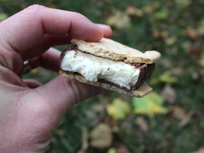 inside look at marshmallow in Russell Stover S’mores