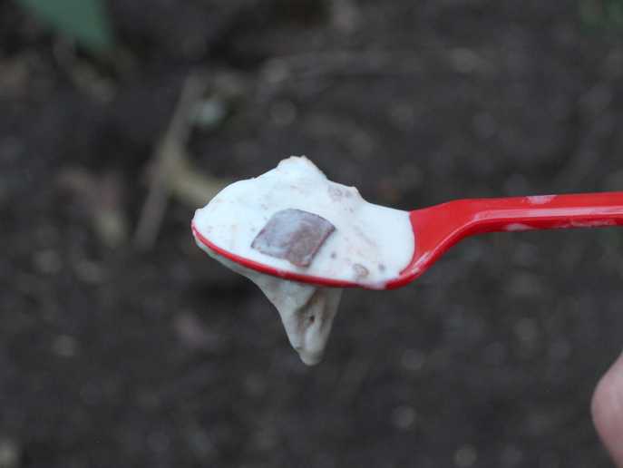 spoonful of S’mores Blizzard revealing mini chocolate and marshmallow bar