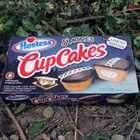 Hostess S’mores CupCakes box