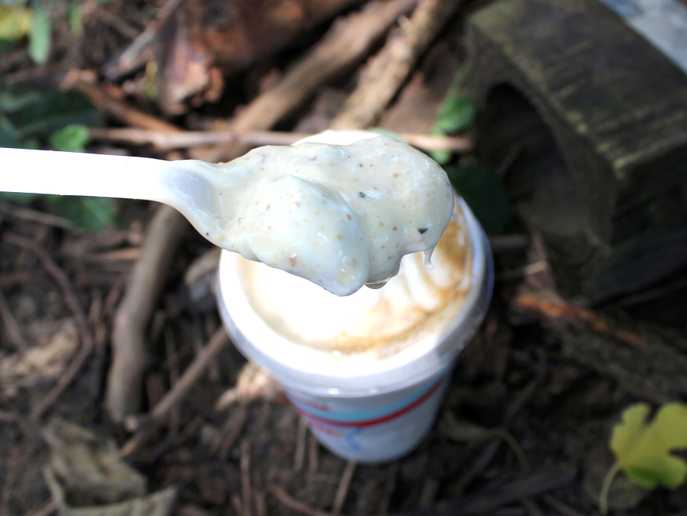 spoonful of Sonic Toasted S'mores Shake