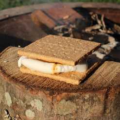campfire s’mores near a fire pit