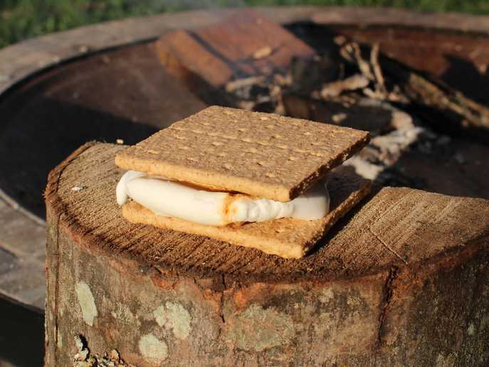 campfire s’mores near a fire pit