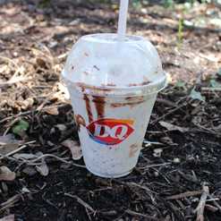 DQ S’mores Shake