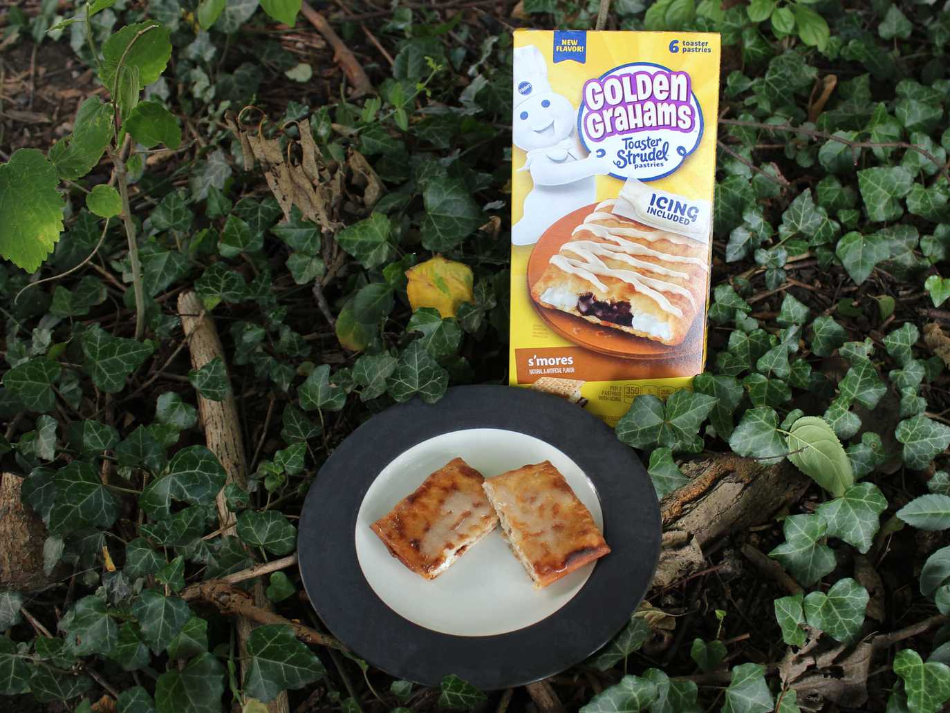 Golden Grahams S’mores Toaster Strudel [Review] S’more Scout